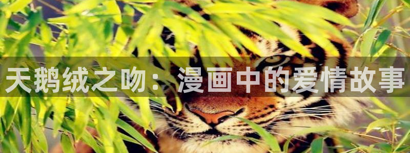 香蕉漫画在线观看入口