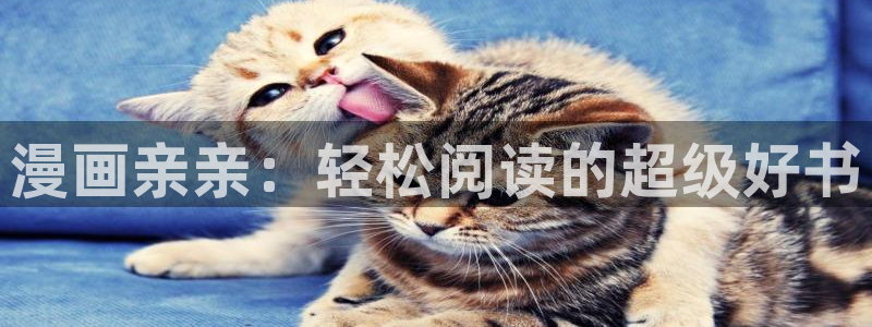 香蕉漫画免费观看入口