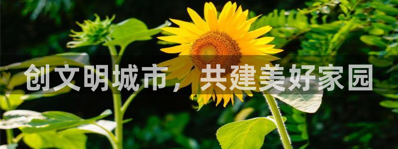 香蕉漫画在线观看入口免费